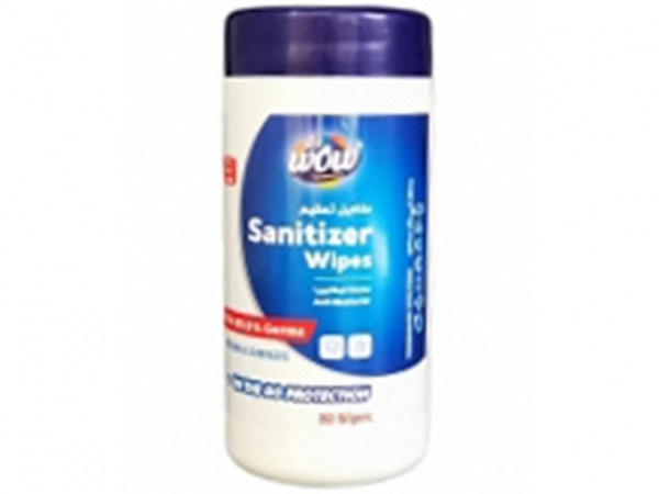 Sanitizer Bottle Wipes