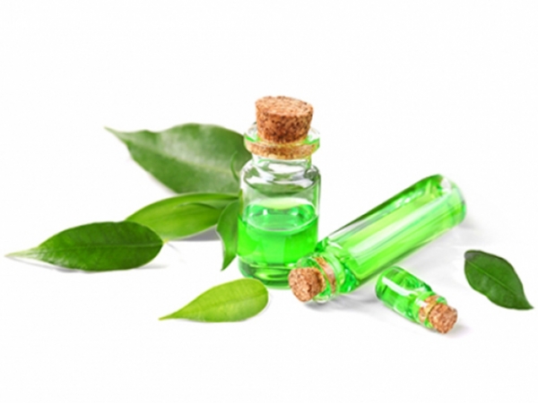 Bergamot fragrance oil for energizing citrus scent