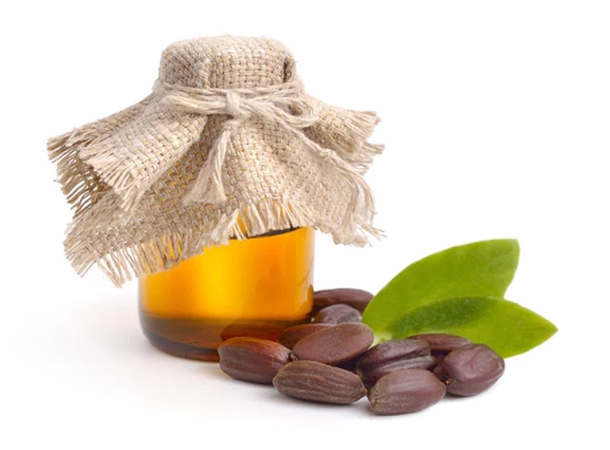 SpaWorld's carrier oils ideal for massage and beauty treatments