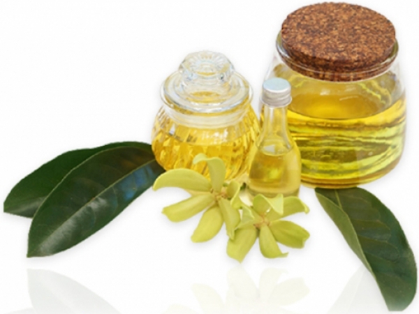 Musk fragrance oil for deep, earthy, and grounding scent