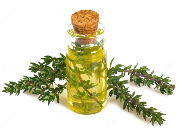 essential oils for massage therapy